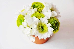 Với chậu nhỏ, chỉ cần cắm xen kẽ hoa nhỏ màu xanh và trắng, hoa trắng nhô cao hơn hoa xanh một chút hoặc cắm đều bằng bề mặt rồi vuốt cho cánh hoa trắng phủ lên trên hoa xanh một chút.