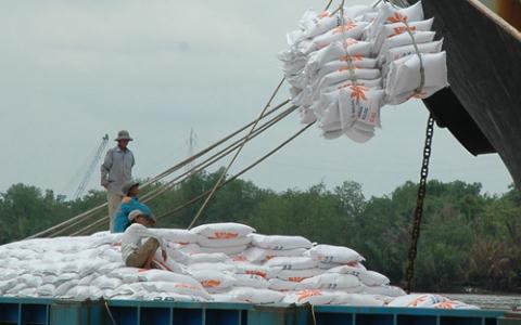 Philippines sẽ nhập thêm gạo để tăng dự trữ sau bão, tạo cơ hội cho thị trường gạo Việt Nam phát triển mạnh tại sân chơi Đông Nam Á
