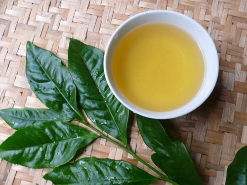 Bí quyết làm đẹp bằng trà xanh có thể kháng bức xạ nhiệt đối với da