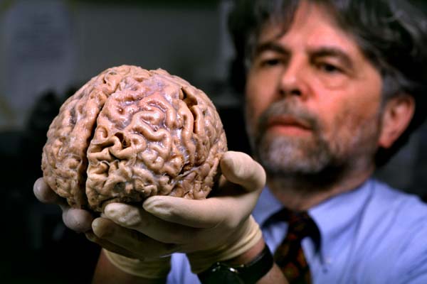 Các nhà khoa học vẫn đang tiếp tục nghiên cứu bộ não con người