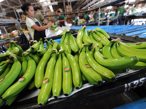 Philippine đã từng đánh cược đầu ra nông sản của mình cho Trung Quốc