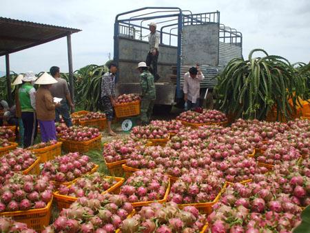 Đã tới lúc nông nghiệp Việt Nam cần mở rộng thị trường đầu ra nông sản 