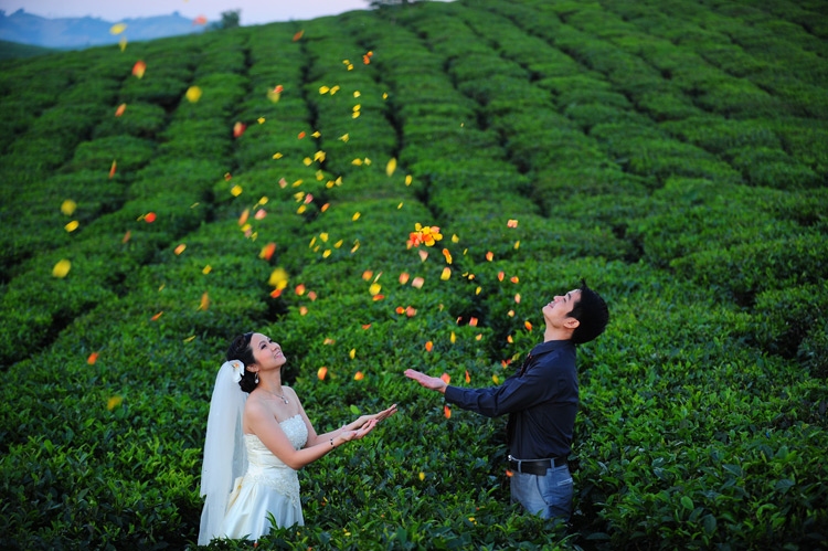 Mộc Châu ngập tràn sắc hoa là một địa điểm du lịch Tết hấp dẫn cho các cặp vợ chồng mới cưới
