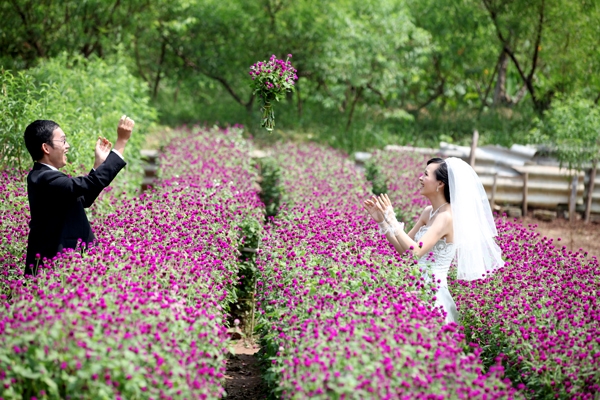Bãi đá sông Hồng và vườn hoa Nhật Tân từ lâu đã trở thành địa điểm chụp ảnh cưới lý tưởng cho mùa xuân với những sắc màu rực rỡ 