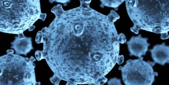 Virus gây suy giảm miễn dịch ở người (HIV) tấn công hệ thống miễn dịch