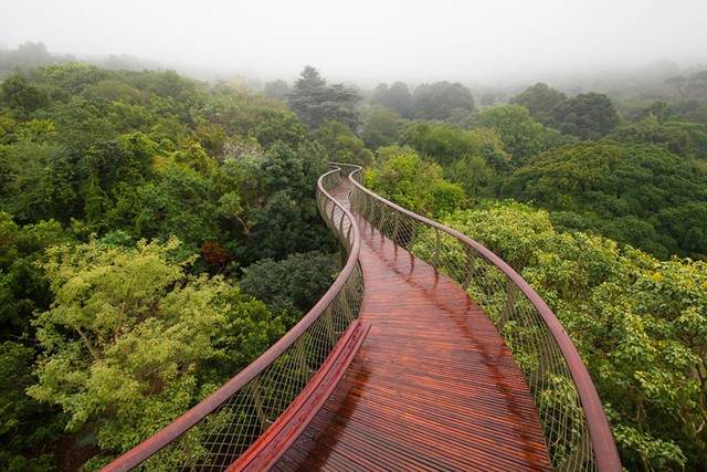 Cận cảnh cây cầu đi bộ xuyên núi ở Nam Phi