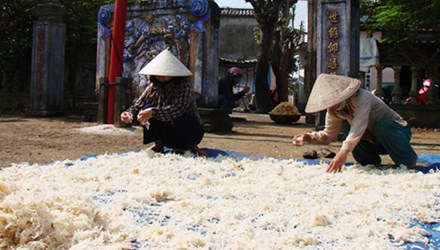 Người dân huyện đảo Lý Sơn phơi rau câu vừa được khai thác từ vùng biển Hoàng Sa chuẩn bị bán trong dịp Tết