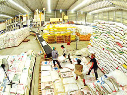 Thị trường lúa gạo phụ thuộc quá nhiều vào Trung Quốc, tiềm ẩn nhiều rủi ro