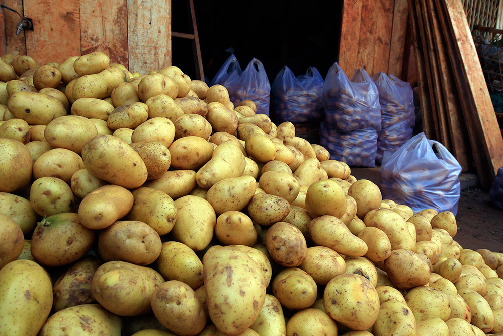 Cấm chợ khoai tây Trung Quốc nảy sinh nhiều ý kiến trái chiều