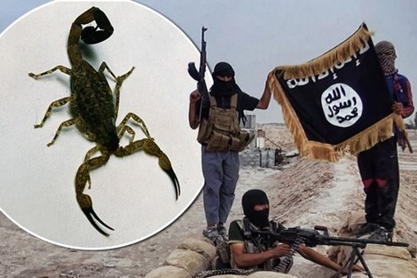  Khủng bố IS 'phát minh' bom bò cạp gây hoang mang người dân