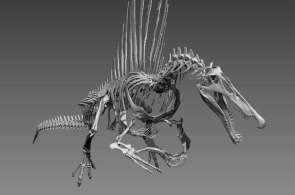 Hóa thạch của loài khủng long khổng lồ Spinosaurus aegytiacus