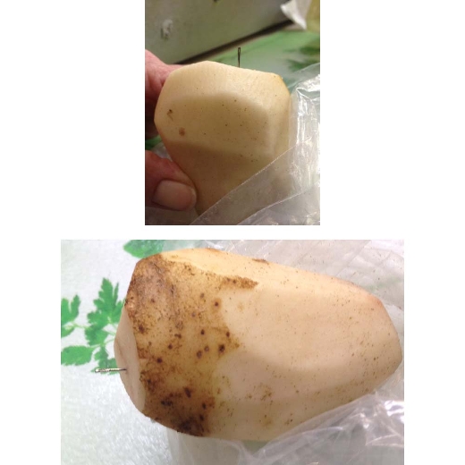 Kim khâu trong khoai tây gây nguy hiểm cho người tiêu dùng