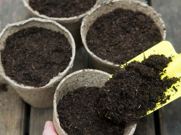Đổ đất trồng hữu cơ vào chậu là bước đầu tiên trong kỹ thuật trồng hoa
