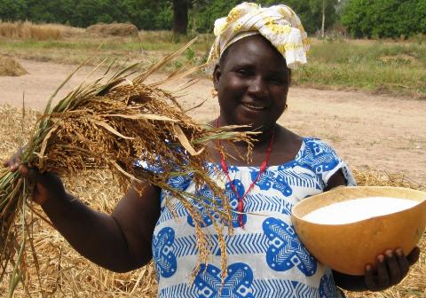 Nâng cao năng suất khiến nông nghiệp Uganda tăng trưởng tốt