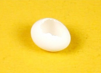 Đập vỡ một góc nhỏ ở giữa thành quả trứng rồi trút bỏ lòng trứng 