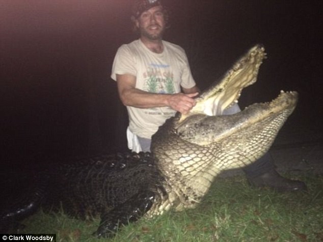 3 thanh niên tại Florida đã hạ gục con quái vật nặng 326kg
