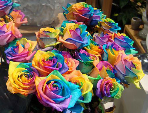 Hoa hồng 7 sắc - tượng trưng cho hạnh phúc là quà tặng Valentine nhiều bạn trẻ lựa chọn
