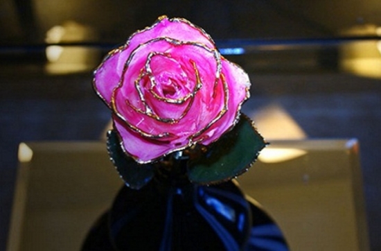 Bông hồng mạ vàng viền cánh lạ mắt đang trở thành quà tặng Valentine được nhiều bạn trẻ săn lùng