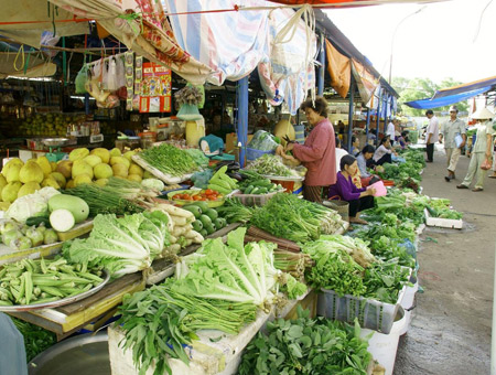 Rau nhiễm độc như rau muống, rau ngót đang bày bán tràn lan tại Hà Nội