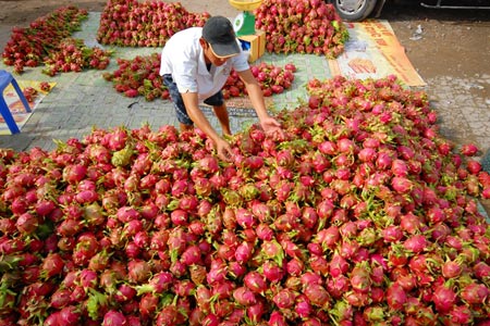 Châu Âu cảnh cáo cấm nhập khẩu rau, quả VN