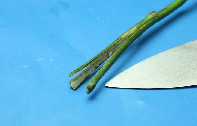 Sử dụng dao hoặc kéo nhọn sắc cắt sát gốc hoa 