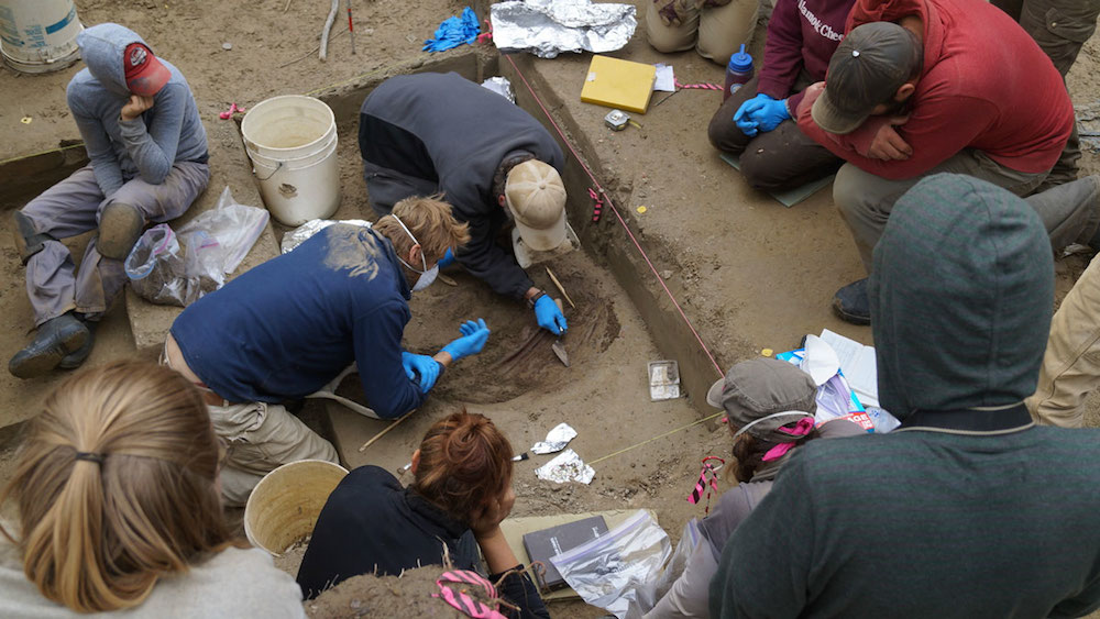 Tục lệ chôn cất của người tiền sử trong kỷ băng hà được khám phá nhờ một ngôi mộ của hai em bé tại Alaska