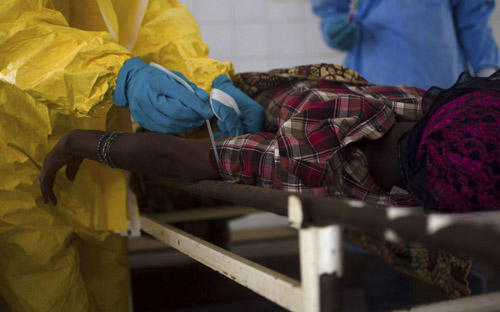 Các nhà khoa học đang cảnh giác với nguy cơ virus Ebola biến thể.