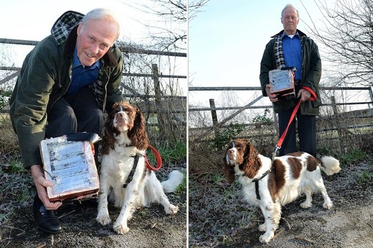 ông Allan Bell và chú chó Rosie của mình đã vô tình tìm thấy viên kim cương trắng khi đang đi dạo