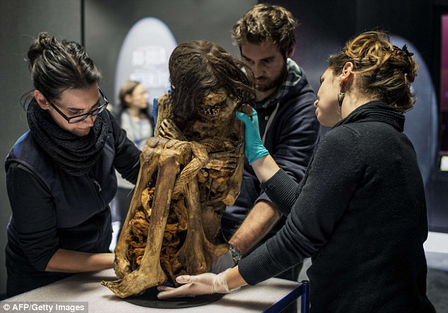 Xác ướp còn nguyên vẹn trong tư thế ngồi bó gối được trưng bày tại bảo tàng sau 1000 năm ngủ yên dưới lòng đất