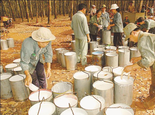 Xuất khẩu nông sản Việt đã có tư duy đổi mới rõ ràng và quyết liệt hơn