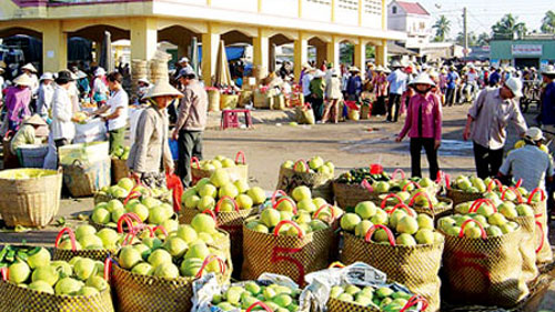 Mỹ cũng tham gia vào nhóm các nước gây khó dễ cho xuất khẩu nông sản Việt thời gian qua
