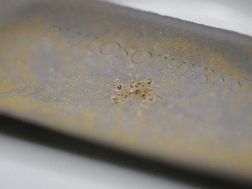 Phát hiện kinh ngạc vi khuẩn có thể ‘thải’ ra vàng nguyên chất
