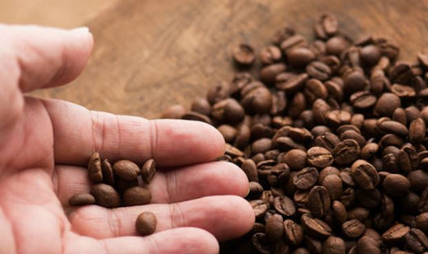 4 sai lầm trong bảo quản cà phê mà bạn vẫn hay làm