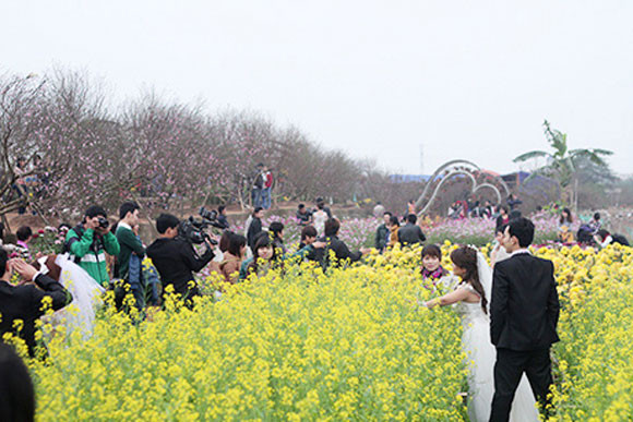 Dự báo thời tiết ngày mai 20/1/2015: Tranh thủ thời tiết nắng ấm, rất đông bạn trẻ kéo tới vườn đào chụp ảnh khai xuân​