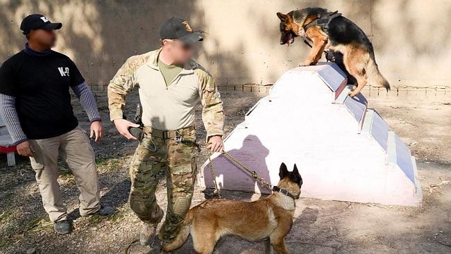 Một buổi huấn luyện chó đặc nhiệm chống khủng bố IS