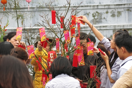 Hái lộc đầu xuân là một trong những phong tục ngày Tết có từ xa xưa của Việt Nam