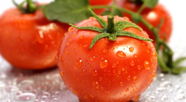 Cà chua chín tự nhiên có màu đỏ, căng mọng