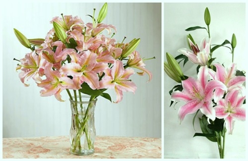 Nên mua và cắm hoa vào bình vào buổi sáng sớm là cách để giữ hoa ly tươi lâu hơn