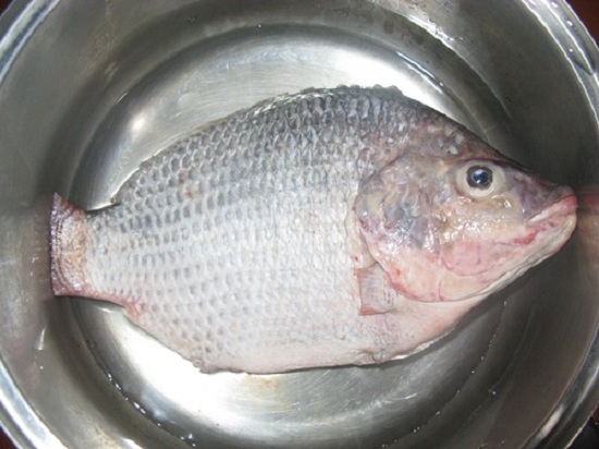 Rượu trắng cũng có tác dụng khử mùi tanh của các loại cá Rượu trắng cũng có tác dụng khử mùi tanh của các loại cá