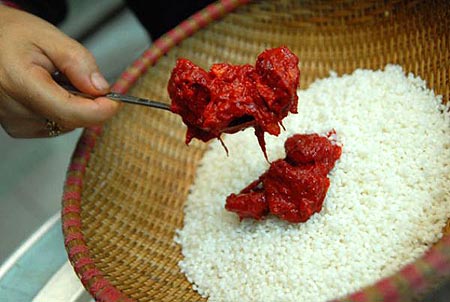 Trộn gạo nếp đã ngâm mềm với thịt gấc cho thật đều Trộn gạo nếp đã ngâm mềm với thịt gấc cho thật đều