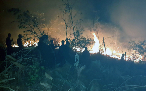 Gần 6 hecta rừng keo bị thiêu rụi trong vụ cháy rừng lớn ở Quảng Ninh là tin tức mới cập nhật 24h ngày 30/1/2015
