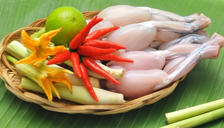 Các nguyên liệu cho món ếch xào mướp hương thơm ngon Các nguyên liệu cho món ếch xào mướp hương thơm ngon