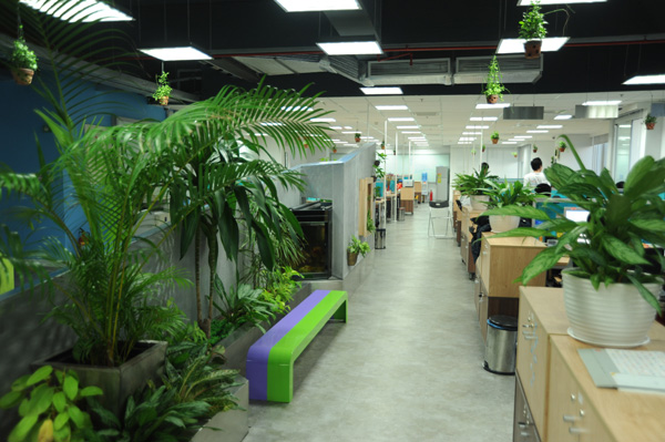 Nâng cao năng suất lao động của nhân viên trong không gian văn phòng có cây xanh
