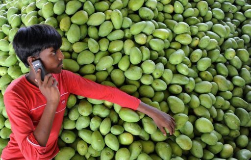 Tăng năng suất lao động và thu nhập cho nông dân Ấn Độ nhờ những dịch vụ điện thoại đơn giản