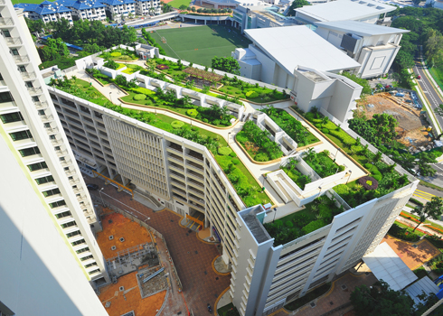Nâng cao năng suất lao động và sự tập trung bằng cách nhìn vào những khu vườn xanh trên các mái nhà