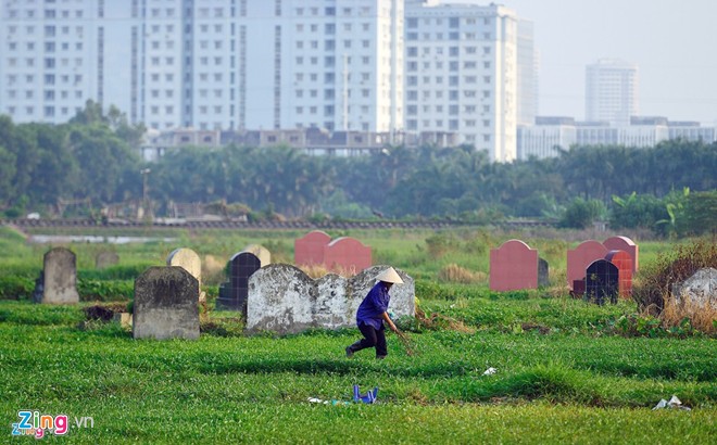 Nghĩa địa nằm trong ngõ 145, đường Cổ Nhuế (quận Bắc Từ Liêm, Hà Nội) từ lâu nay đã trở thành ruộng rau muống