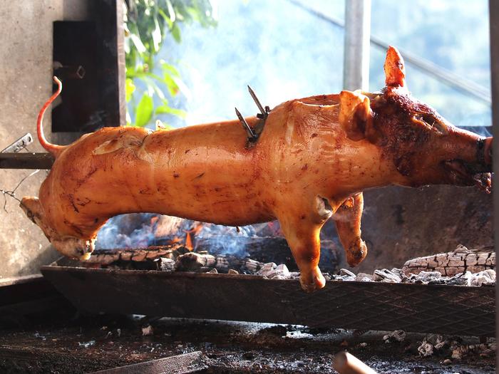 Thịt lợn nhiễm khuẩn Salmonella gây tiêu chảy bị thu hồi tại Mỹ
