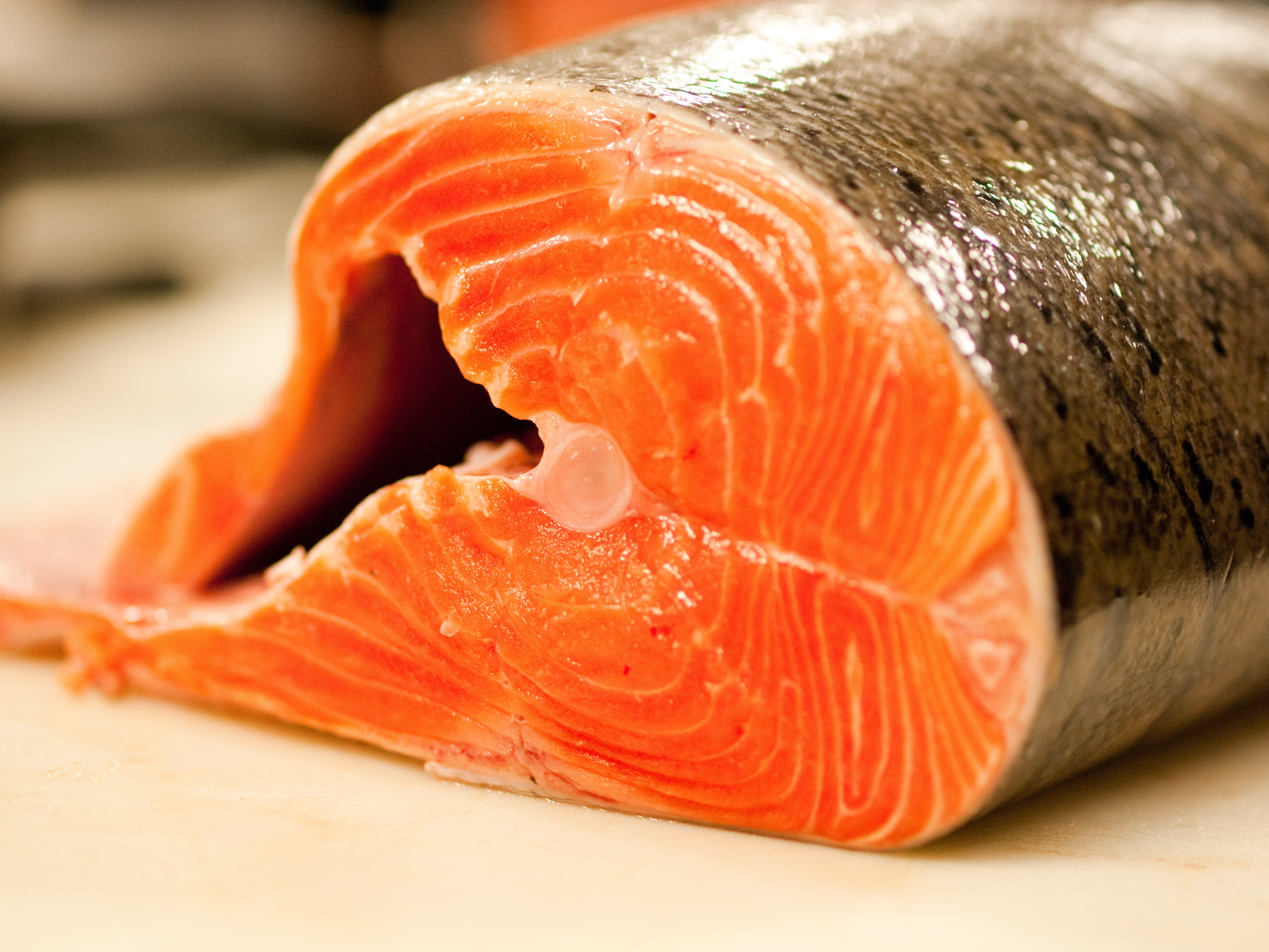 Cá ngừ được cho là nguyên nhân gây bùng phát dịch Salmonella tại Mỹ