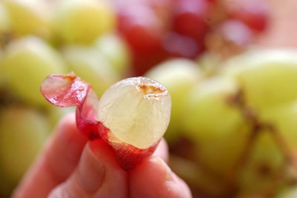 Máu nhiễm mỡ, ung thư, tiểu đường… toàn hoàn có thể phòng tránh nhờ vỏ nho, vỏ táo…