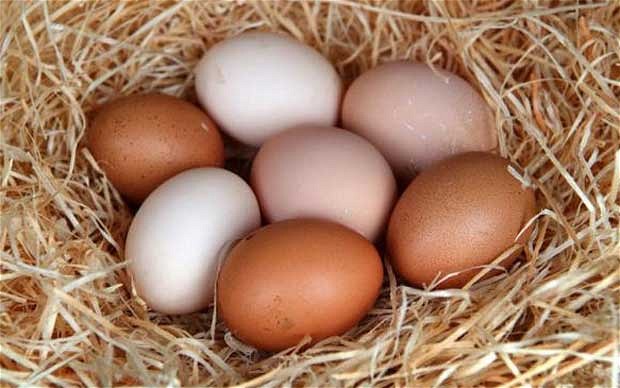 Trứng là một trong những thực phẩm giàu chất sắt, rất có lợi cho máu